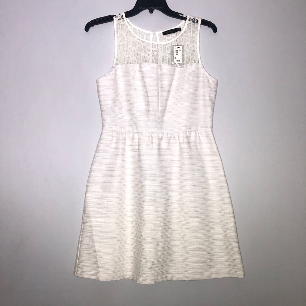 NWT ✨ The Limited Fit and Flare Dress